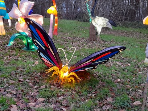 Lumieres Sauvages Thoiry janvier 2023