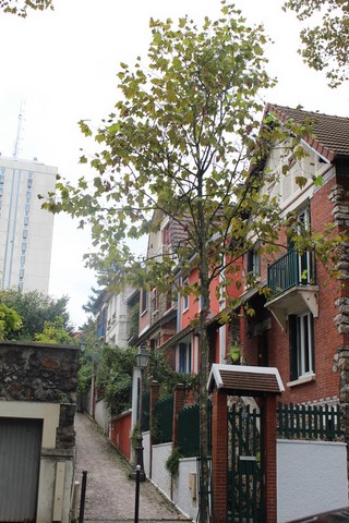 Octobre 2023 Quartier Mouzzia