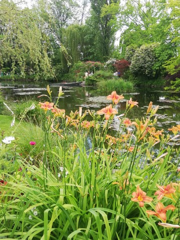 Giverny juin 2024 Giverny juin 2024